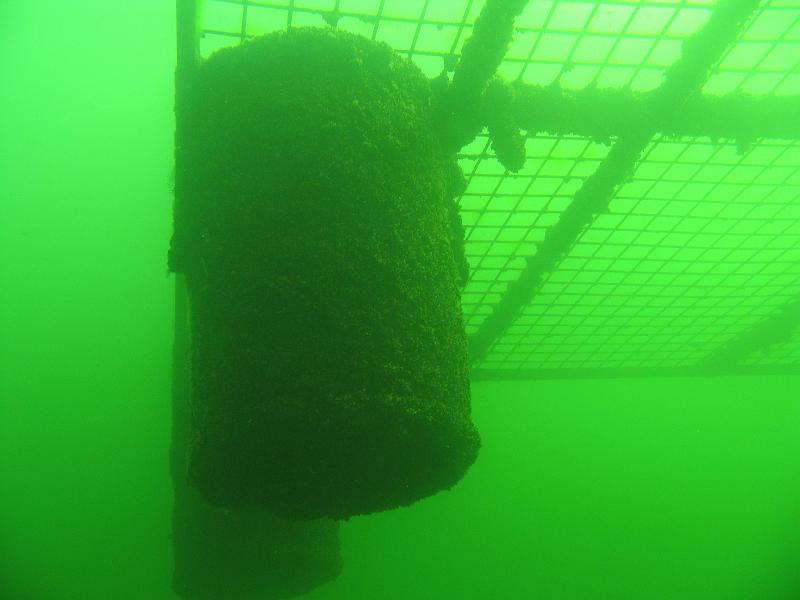 Coll NL 093.JPG